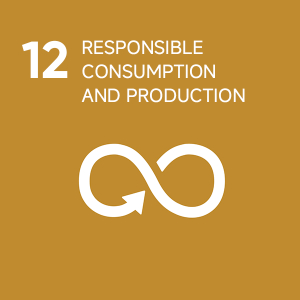 Commitment to Clean Energy and<br>                     Environmental Stewardship